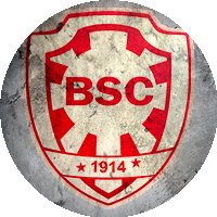 Logo Botafogo Sport Club